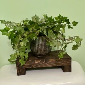 Green Ivy in Brown Planter on Wooden Stand